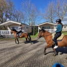 Reiten auf unserem Hof