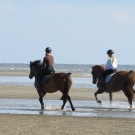 Reiten auf unserem Hof