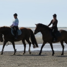 Reiten auf unserem Hof