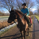 Reiten auf unserem Hof